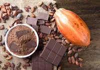 Cadeia cacau–chocolate–floresta. Quem está pagando a conta? imagem
