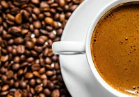 Café mais caro do Brasil é produzido com fezes de pássaro imagem