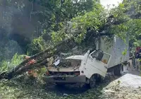 Caminhão é atingido por árvore e duas pessoas morrem no interior da Bahia