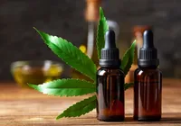 Canabidiol: confira cinco condições em que a substância pode ajudar imagem