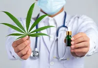 Cannabis medicinal tem alta procura por brasileiros; saiba o motivo imagem