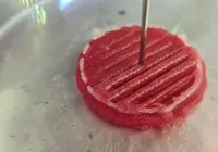 Carne nova no pedaço? Proteína de laboratório cresce e mira mercado na Bahia