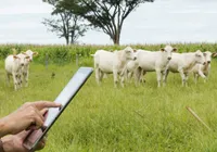Celular vira balança: conheça os apps que estão revolucionando a pecuária baiana imagem