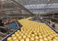 Cerveja impulsiona crescimento econômico de Alagoinhas imagem