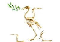 Charge do dia 19/03/2026