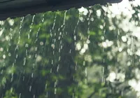Chuva em cidade da Bahia foi 10 vezes maior em fevereiro imagem