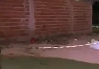 Cigano é morto a tiros no interior da Bahia