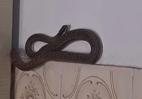 Cobra é resgatada dentro de casa na Bahia