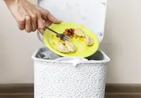 Conheça 4 truques para acabar com o mau-cheiro no lixo da cozinha imagem