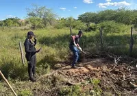 Corpo de pedreiro é encontrado enterrado no quintal de vizinho na Bahia imagem