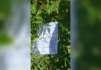 Corpo decapitado é encontrado com bilhete do CV e recado macabro imagem
