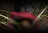 Crânio humano é encontrado dentro de panela de pressão em área de mata