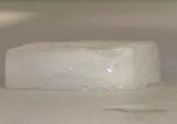 De sobra de cerveja à carne do futuro: cientistas criam novo produto