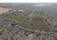 Esquema de tráfico entre Bahia e Rio é alvo de megaoperação em seis estados