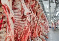 Fim do veto: China libera frigoríficos brasileiros para exportar carne imagem