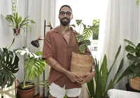 Florestas particulares: conheça o poder terapêutico de ter a casa cheia de plantas