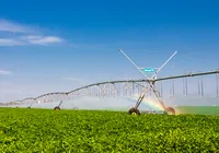 Guerra no Oriente Médio: frete da soja sobe 21% na Bahia e ameaça colheita