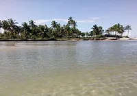 Homem é encontrado decapitado em praia de cidade turística da Bahia imagem