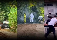 Homem morre após ser atacado por enxame de abelhas