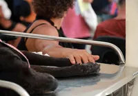 Hospital Veterinário público de Salvador é referência imagem