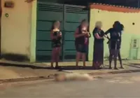 Idoso é atacado por pit bull e tutor mata cão a facadas