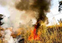 Idoso morre queimado ao tentar controlar incêndio em mata na Bahia