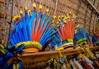 Indígenas da Venezuela resistem em Conquista