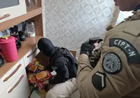 Investigados por tráfico e lavagem de dinheiro são alvo de operação em Juazeiro imagem