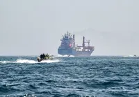 Irã avalia usar golfinhos com minas em ataques no Estreito de Ormuz