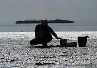 Kirimurê está gritando. Ou melhor, pedindo socorro contra agressões