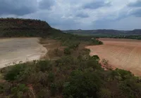 Matopiba: a fronteira que virou potência agrícola