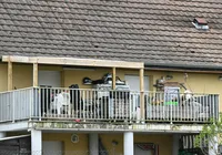 Menino de 9 anos é encontrado nu e desnutrido após um ano preso em van