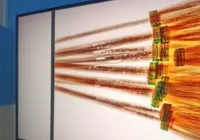 Mulher tenta entrar em presídio com remédio para disfunção erétil escondido na vassoura