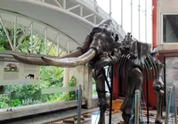 Museu ganha viagem no céus no Dia da Terra