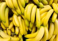 Nem geladeira, nem fruteira: onde guardar bananas para durar mais