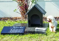 Nova lei pode permitir que pets sejam sepultados junto aos tutores imagem