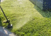 Nova regra pode multar quem cortar grama entre 12h e 16h; entenda imagem
