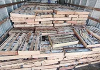 Nove toneladas de peixe são apreendidas em operação na Bahia