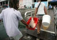 Novo ministro avalia pesca e perspectivas do agro para 2026