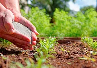O futuro do agro depende do que o cidadão  pensa de quem produz