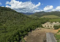 O gol é reflorestar