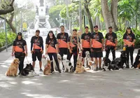 O que acontece com seu cachorro quando ele passeia todos os dias pode surpreender