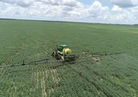 Onde comprar terra? Os 10 estados que são tendência rural em 2026 imagem