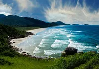 Paraíso escondido no Brasil permite nado com botos raros