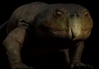 Pesquisadores descobrem nova espécie de réptil de 230 milhões de anos