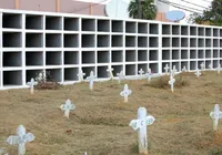 Prefeitura de Salvador oferece cremação gratuita; saiba como conseguir imagem