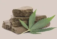 R$ 30 milhões: Brasil realiza maior apreensão de haxixe da história