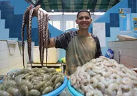 Sem camarão na Semana Santa? Entenda por que não pode ser consumido até abril