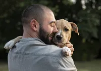 Senado aprova guarda compartilhada de pets após separação imagem