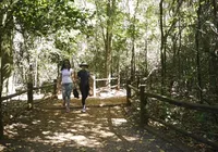 Siga essas três regras para que sua caminhada tenha efeito de academia